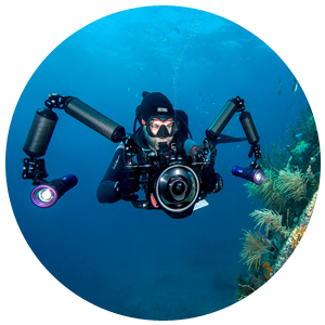 PADI Underwater Videographer Specialty